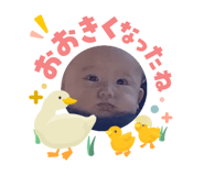 843067556