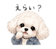 843067670