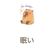 843067781