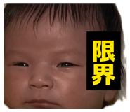 843067931
