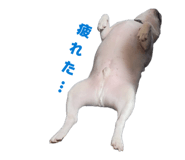843068369