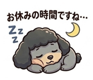 843068456