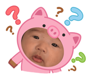 843068620