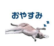 843068722