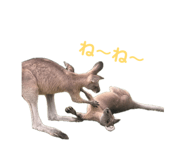 843068724
