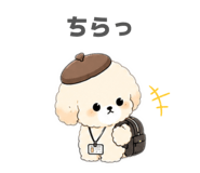843068906
