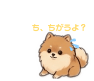 843069631
