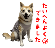 843070102