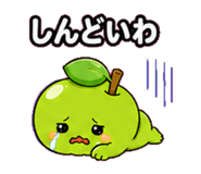 843072387