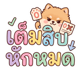 ลายที่ 8
