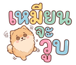 ลายที่ 11