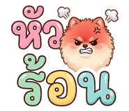 843080928