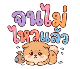 ลายที่ 18