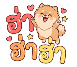 ลายที่ 19