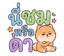 ลายที่ 20