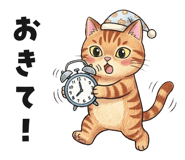 843090449