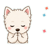 843090538