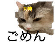 843090866