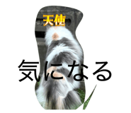 843090871