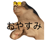 843090872
