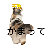 843090880