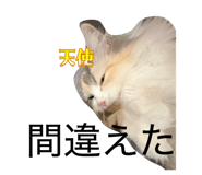 843090885