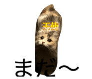 843090889