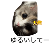 843090890