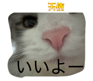 843090894