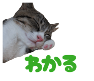 843091088