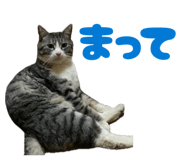 843091091
