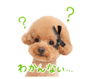 843091152
