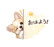 843091367