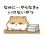 843091451
