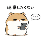843091464