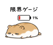 843091466
