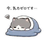 843091481