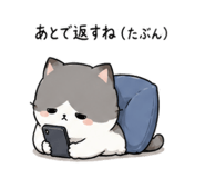 843091494