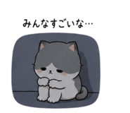 843091498