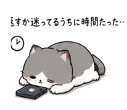 843091503
