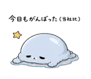 843091675
