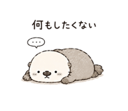 843091813