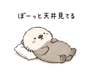 843091814