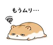 843091857