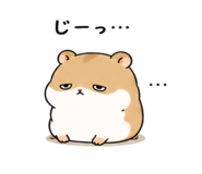 843091886