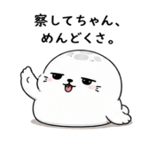 843091894