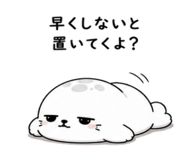 843091905