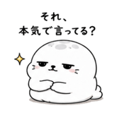843091906