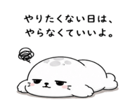 843091953