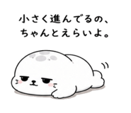 843091955